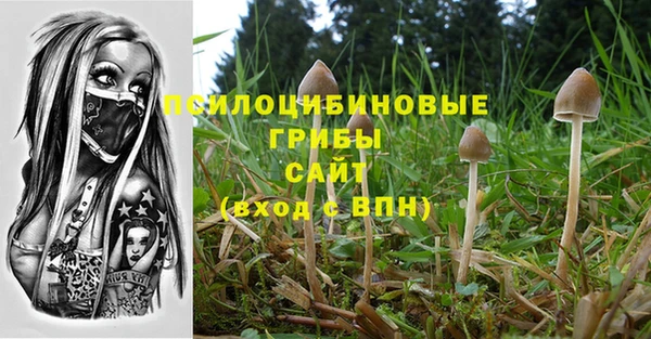 стафф Баксан