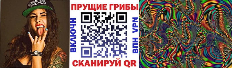 Псилоцибиновые грибы GOLDEN TEACHER  купить наркотик  Велиж 